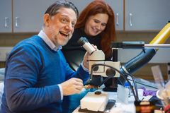Professor i arkeologi Sigmund Oehrl har spesialisert seg på gullgubber, og er lykkelig for det nye, sensasjonelle funnet som har kommet inn på Arkeologisk museum ved Universitetet i Stavanger.
