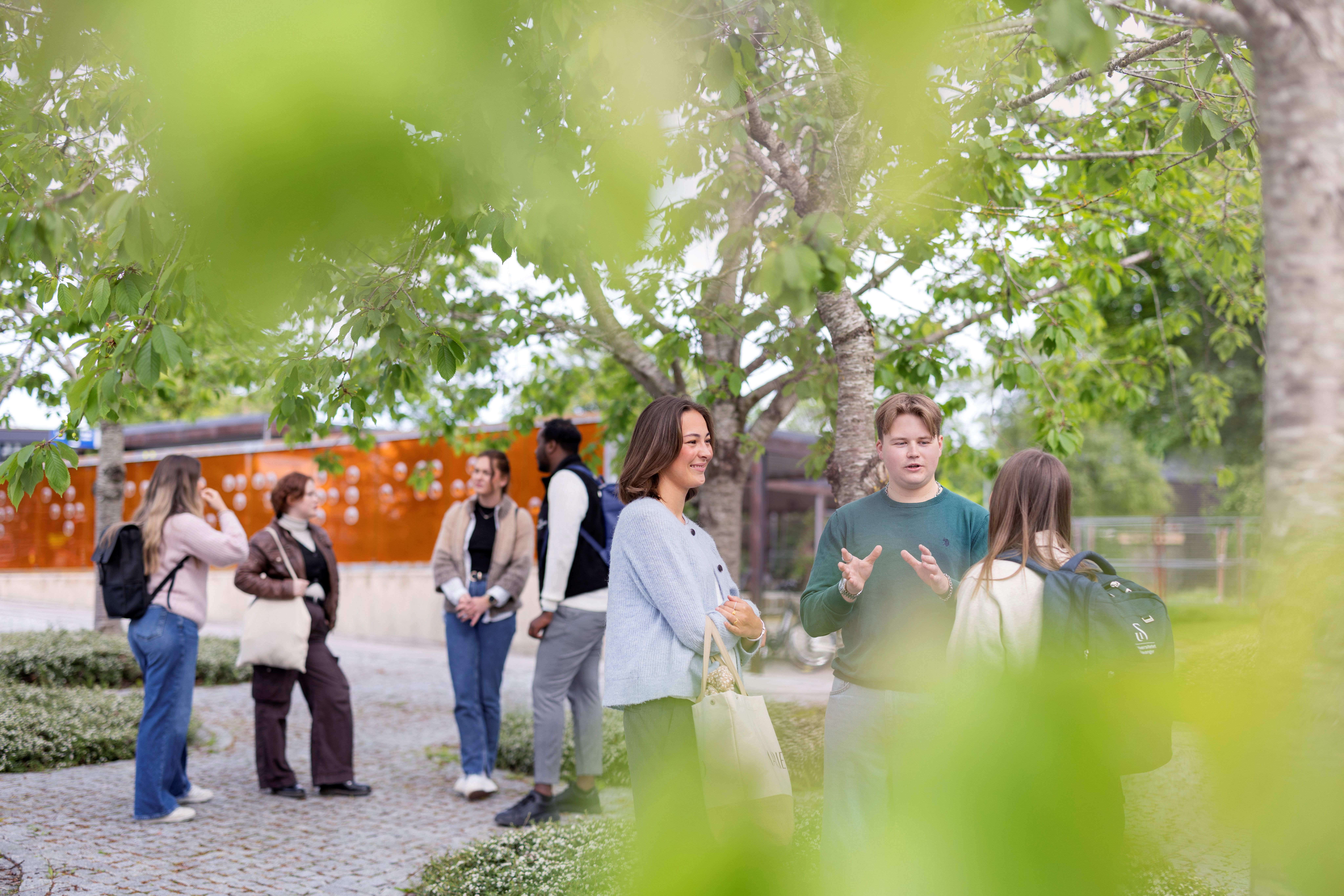 Skyhøye søkertall ved UiS
