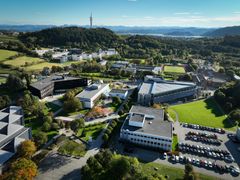 Flyfoto av Universitetet i Stavanger med bygninger og grøntområder.