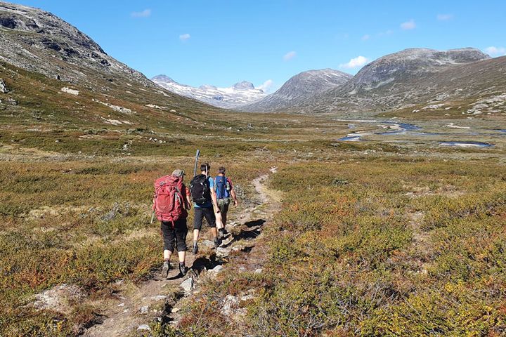 Tordalen er en av innfallsportene i Reinheimen hvor det er en stor andel utenlandske besøkende. Foto: Kristine Sørlie / Reinheimen nasjonalpark.