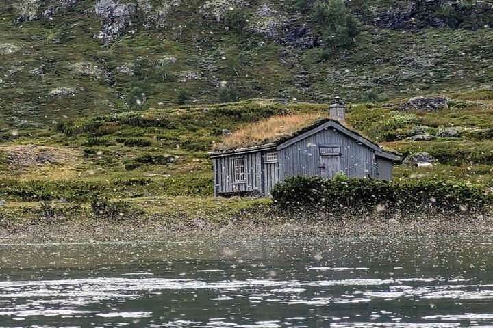 Sverming av gjendeflue i Gjendeosen.