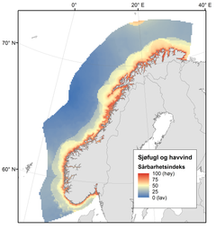Kartet beskriver sårbarheten til de de viktigste sjøfuglartene og andre fuglearter med tilknytning til saltvann som oppholder seg regelmessig i Norge. Illustrasjon: NINA