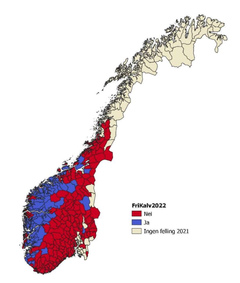 Kommuner med (blå, N = 75) og uten (rød, N = 166) kvotefri felling av hjortekalver (FriKalv) i 2022. Kommuner uten fellinger av hjort i 2021 er markert i beige. Kart: NINA