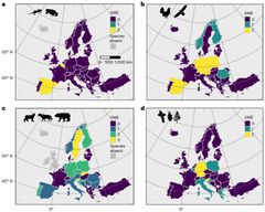 Figuren gir en oversikt over overvåking av genetisk diversitet, med formål om bevaring eller forvaltning, hos landene i studien. Oversikt over genetiske overvåkingsprogram for amfibier (a), fugler (b), rovdyr (c) og skogstrær (d). Få land har overvåking av genetisk diversitet for amfibier, mens flest land har etablert et program for en rovdyrart (Pearman et al. 2024).