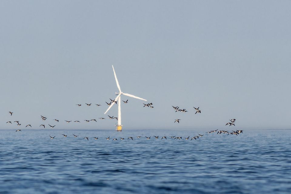 Værradarene avslører hvor fuglene trekker | Norsk institutt for ...