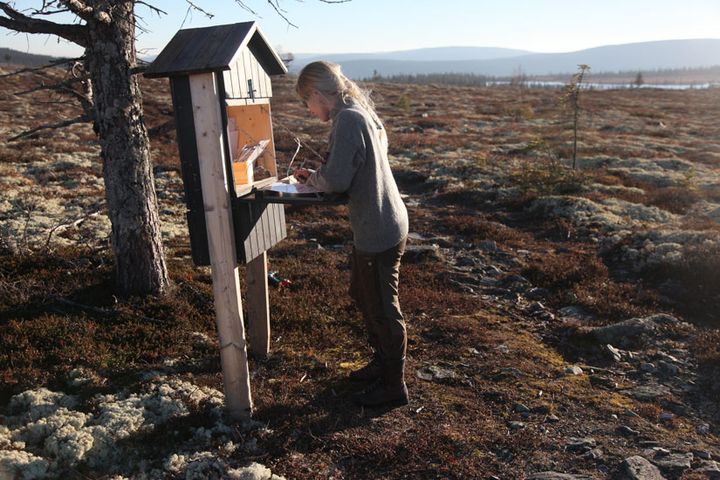 En besøkende i Rondane svarer på brukerundersøkelse.