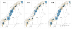 Kartet viser en oversikt over valpekull av fjellrev i 2022 (72), 2023 (39) og 2024 (64). Tallene på kartet angir antall kull i de ulike delbestandene. Kart: NINA