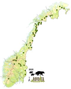 Kartet viser 51 påviste jervekull i Norge i 2025
