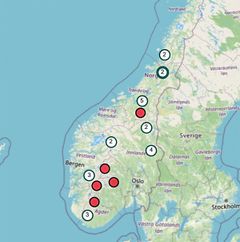 Kartet viser innmeldte observasjoner av fjellrev siste seks måneder. Tallet i sirkelen viser antall observasjoner i området. Rød sirkel viser én observasjon. Kilde: Rovbase, Miljødirektoratet.