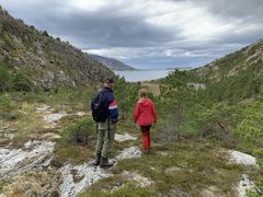 Nå kan du være med å fastslå hvor mye natur som er bygd ned i friluftsområdene våre. Delta gjennom nettsiden til digitalt Naturoppsyn. Foto: Jørn J. Fremstad, NINA