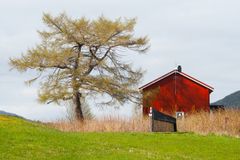 Slike malaisefeller brukes til å samle inn insekter, før artene blir bestemt ved hjelp av DNA-analyser. Nå skal 13 land i Europa samarbeide om en felles metodikk for å overvåke insekter. Foto: Sondre Dahle, NINA