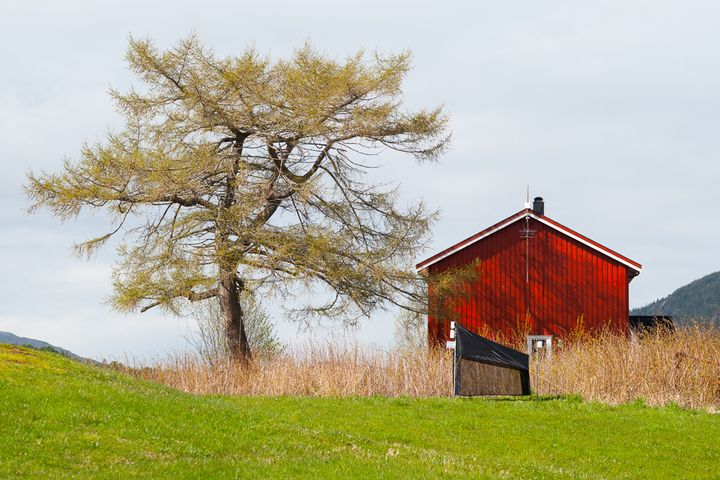 Slike malaisefeller brukes til å samle inn insekter, før artene blir bestemt ved hjelp av DNA-analyser. Nå skal 13 land i Europa samarbeide om en felles metodikk for å overvåke insekter. Foto: Sondre Dahle, NINA