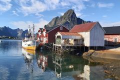 – Fiskerne peker på at oppdrettsnæringa skaper konflikter rundt bruken av arealene, og at havbruk påvirker miljøet, sier NINA-forsker Sigrid Engen. Bildet er fra kaia i Reine i Lofoten. Foto: Sigrid Engen, NINA