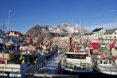 Yrende liv på havna i Henningsvær. En nylig publisert studie viser at mange fiskere er redde for at lokale fiskerier skal bli borte for godt. Foto: Sigrid Engen, NINA