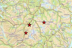 Hasteanalyser har dokumentert en genetisk viktig ulv sør i Trøndelag.