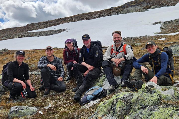 De er klare for mye gåing i fjellet: Feltmannskaper fra NINA, SNO og beitebrukere skal følge tre merkede jerver i Nord-Gudbrandsdalen i sommer. Fra venstre: Jenny Mattisson (NINA), Karl Ove Tvete (NINA), Ingvild Brandli (beitebruker), Atle Berget (SNO), Ole-Gunnar Støen (NINA) og Kari Hånsnar (Skjåk kommune).