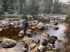 NINA sine undersøkelser i perioden 2019-2026 viser at små delstrekninger lengre opp i Oksdøla ikke har blitt berørt av tømmerfløting eller andre endringer som foregikk i elva for mer enn 100 år siden. Disse områdene har blitt brukt som referanse på det restaureringsarbeidet som nå er utført i elvas nedre deler.