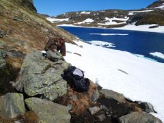 Montering av ferdselstellere på Hardangervidda. 