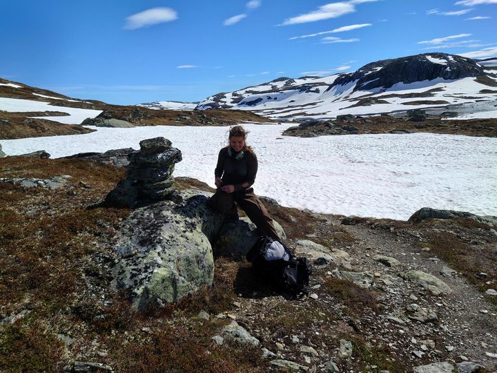Forskere og feltarbeidere monterer ferdselstellere på Hardangervidda. 