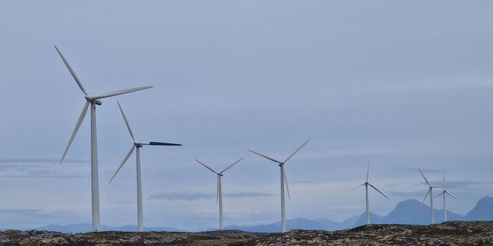 Ett av tre rotorblad er malt svart. Det kan forhindre at fugler kolliderer med vindturbinene. Foto: Bård Stokke/NINA