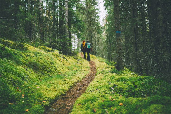 Det har vært stort engasjement rundt kåringen av truede naturopplevelser. FOTO: Marius Dalseg