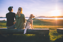 Et par sitter på en benk ved sjøen med en hund, og ser på solnedgangen.