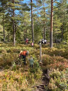 Gøy for hele familien: Natursti på Siljan.