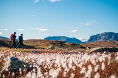 To personer går tur i fjellet foran landskap med myrull