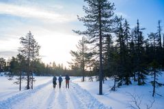 Tre personer går langs en snødekt sti omgitt av trær under en klar himmel.