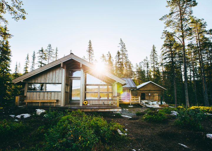 To trehus i skogen, med solen som skinner mellom trærne.
