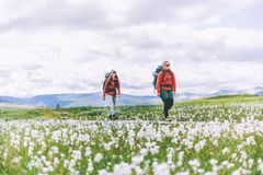 To personer med ryggsekker går gjennom en eng med hvite blomster under skyet himmel.