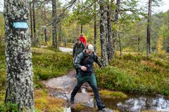 Folk går tur i skogen langs en sti, omringet av trær og busker.
