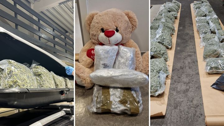 Tolletaten har gjort mange marihuana-beslag i 2024. Det er særlig i poststrømmen og i koffert hos tilreisende på flyplass Tolletaten ser den største økningen i beslag.