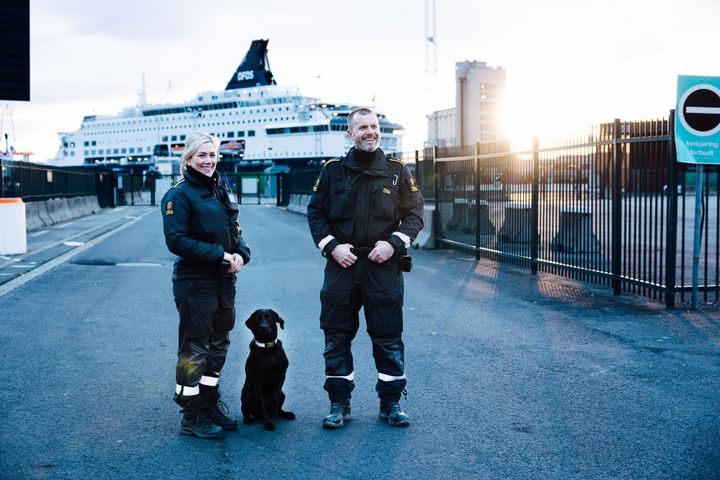 To tollere, en kvinne og en mann, står på en asfaltvei, med DFDS i bakgrunnen. Mellom dem sitter en sort tjenestehund. Bak dem skinner solen, like ved solnedgang.