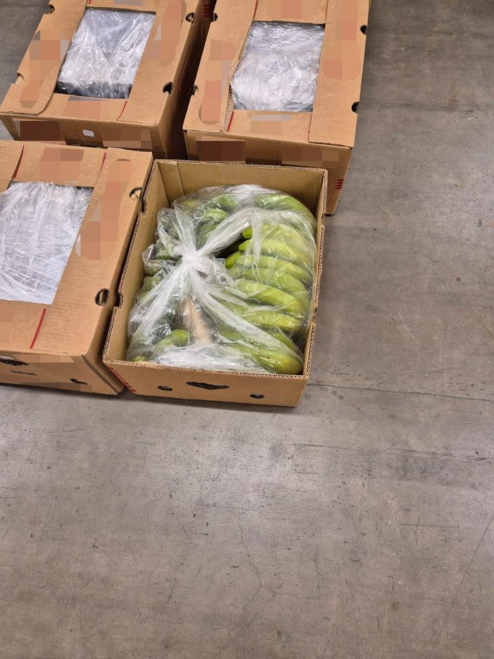 Kokainbeslaget er det største som er gjort på to år.