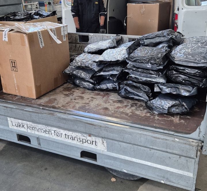 Totalt åtte pappekser med marihuana ble avdekket av tollerne på flyfraktseksjonen på Gardermoen.