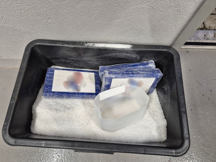 Kasse med kokainpulver og blokker med kokain.