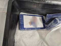 Kasse med kokainpulver og blokker med kokain.