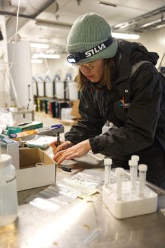 Forsker i laboratorium