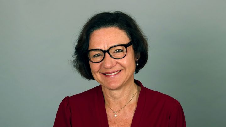 Under press. Elisabetta Cassina Wolff mener vi trenger nye begreper for å forstå truslene mot demokratiet i dag. – Det liberale demokratiet er i krise og på retrett flere steder i verden, sier hun.
