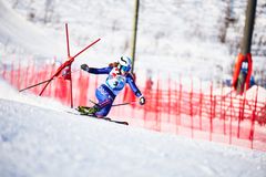 Gøril Strøm Eriksen