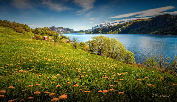 - Vi er på lag med saksøkerne, lokalbefolkningen, forskningen og fremtidige generasjoner når vi nå venter spent på dommen etter rettssaken i Oslo tingrett. For fjorden, fisken og folket, skriver lederne i WWF Norge, Framtiden i våre hender, Greenpeace, Sabima, Forum for utvikling og miljø, Norske Lakseelver, Miljøagentene, BirdLife Norge, Changemaker og Spire i et opprop.