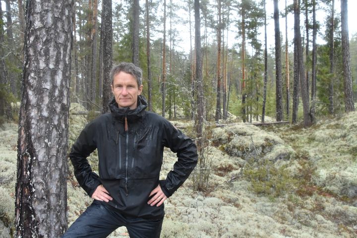 Truls Gulowsen, leder i Naturvernforbundet, i gammelskog ved Follsjå i Telemark. Foto: Tor Bjarne Christensen
