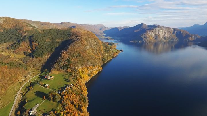 Flyfoto: Høstgyllen årsrygg ut mot en blank fjord