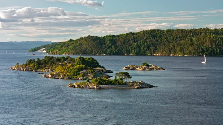 Naturvernforbundet og WWF etterlyser kompensasjonsordning og omstillingsstøtte til fiskere i Oslofjorden.