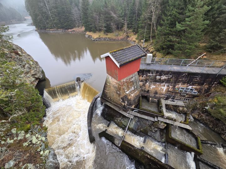 Sølvstudammen Ågårdselva