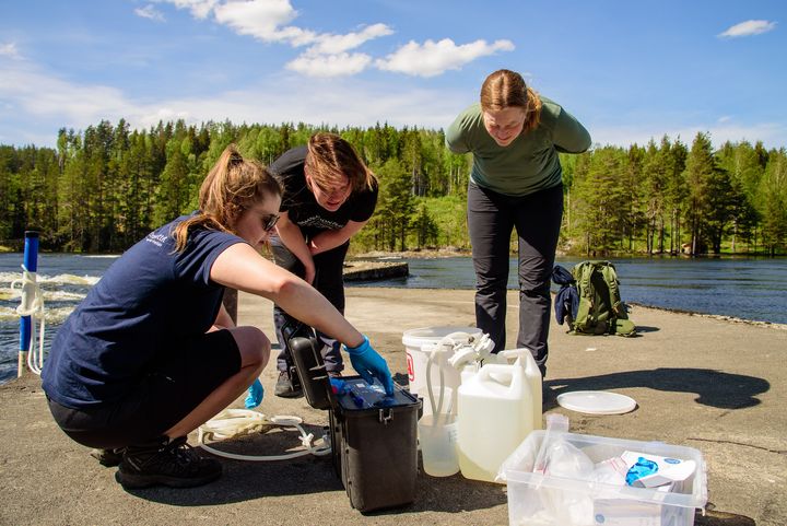 Forsker fra Veterinærinstituttet Marit Måsøy Amundsen (foran) demonstrerer bruk av miljøDNA-påvisning i vann til finske kollegaer. Foto: David Strand, Veterinærinstituttet