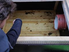 I utløpet av innsjøene er det montert en fiskefelle som fanger nedadgående fisk, over en viss størrelse. Her viser lokale samarbeidspartnere frem fangstkammeret i enden av fiskefellen, som må røktes med jevne mellomrom. Foto Øystein Kielland, Veterinærinstituttet