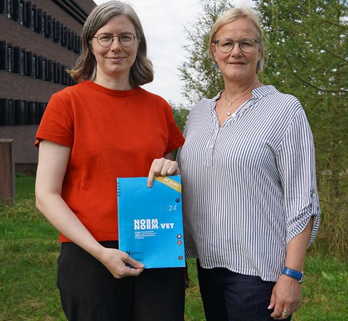 Kari Olli Helgesen og Anne Margrete Urdahl har ansvar for henholdsvis forbruksdel og resistensdel i NORM-VET-rapporten Foto: Mari Press, Veterinærinstituttet
