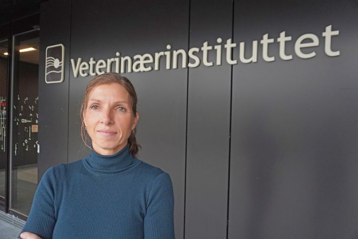 Ny avdelingsdirektør Thea Blystad Klem ved Veterinærinstituttet ønsker å styrke helheten gjennom bedre utnyttelse av data, mer tverrfaglighet og smartere samhandling. Foto: Bryndis Holm, Veterinærinstituttet